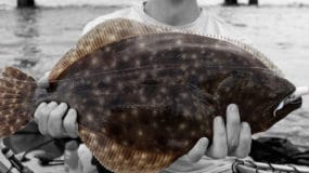 Flounder Fishing Group Charter in Galveston TX
