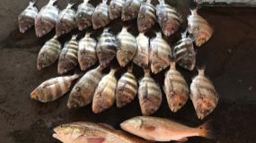 October Fishing Charter in Galveston TX