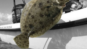 December Flounder Fishing in Galveston TX
