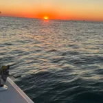 Best Months To Fish In Galveston TX