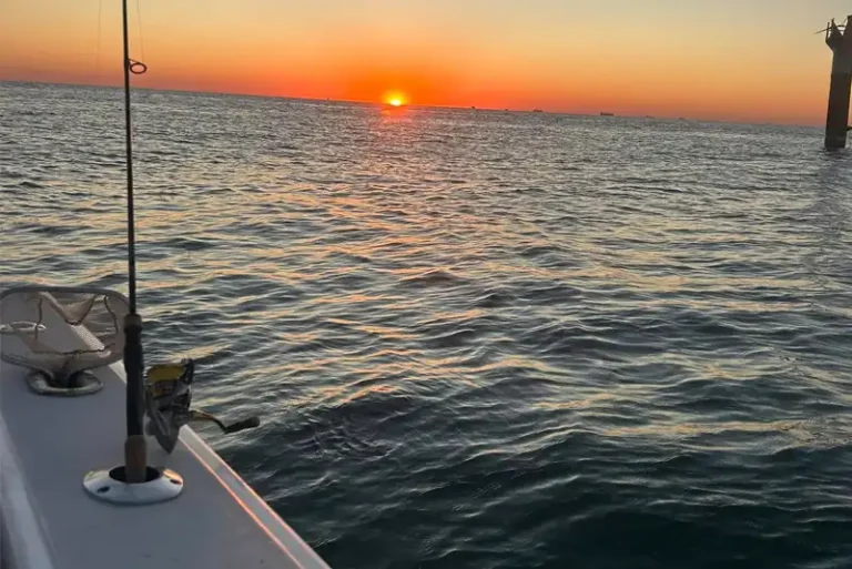 Best Months To Fish In Galveston TX