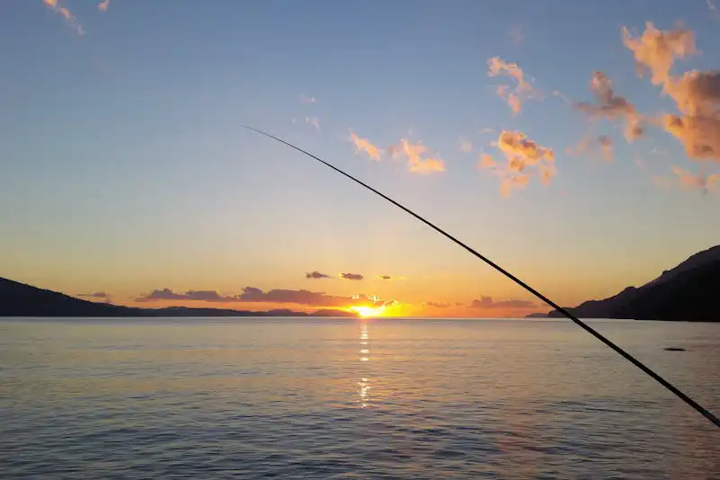 Galveston Bay Fishing: A 2025 Guide