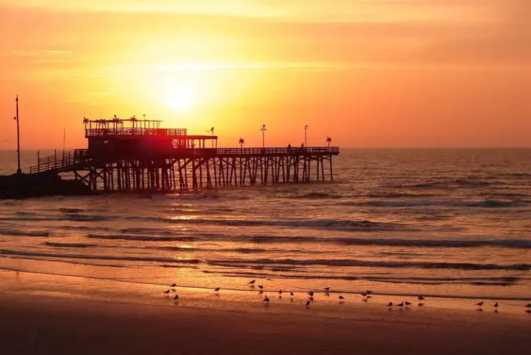 Why Galveston Bay Is The Best Place For Fishing