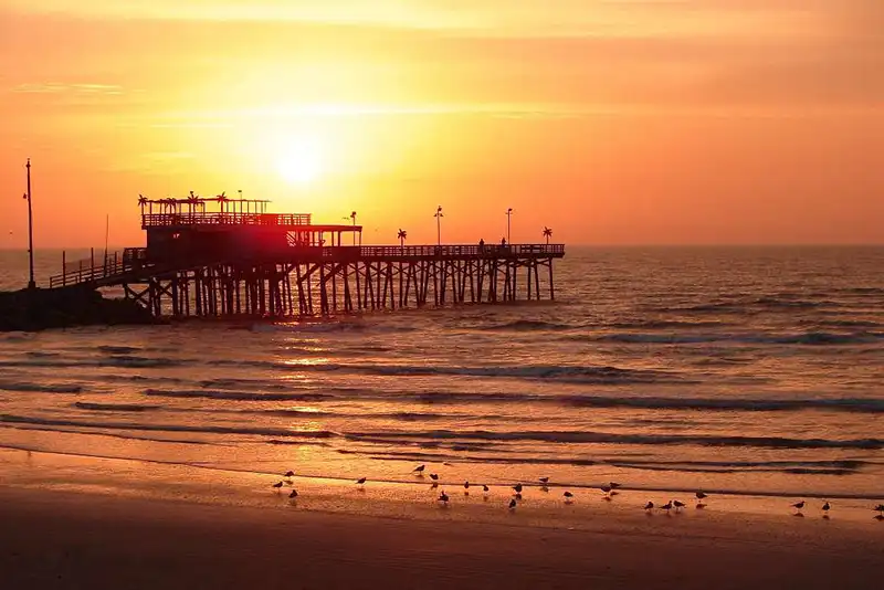 Why Galveston Bay Is The Best Place For Fishing