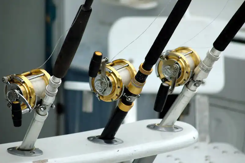 4 Reasons To Choose A Galveston Fishing Charter