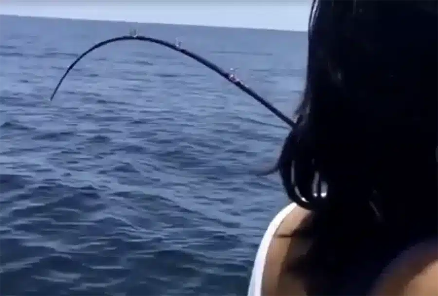 Top Galveston Deep Sea Fishing Tips- Charter Guide