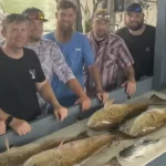 Seasonal Fishing Guide for Galveston Waters