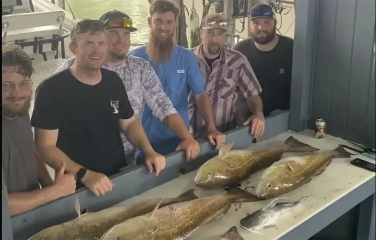 Seasonal Fishing Guide for Galveston Waters