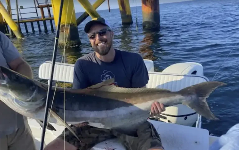 Galveston Spring Transition Fishing