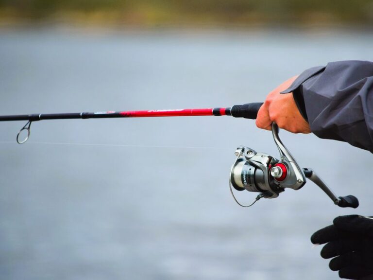 Galveston Fishing Charters for Every Angler