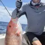 Galveston's Top Fish to Catch: 4th of July Tips