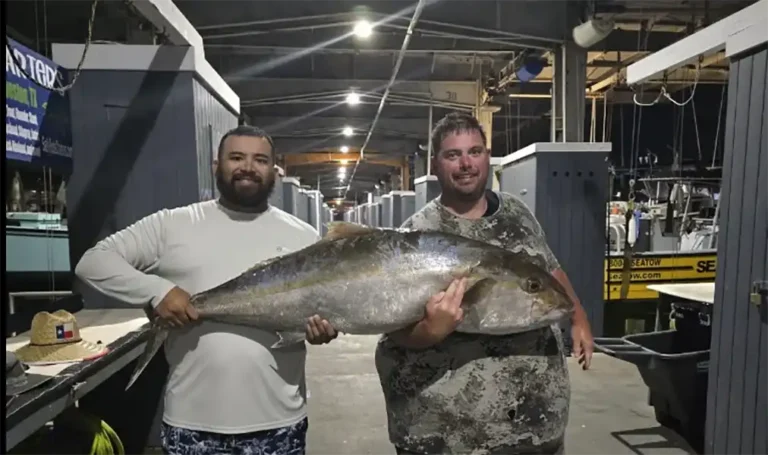 Galveston Fishing Charters-How to Choose the Right Fishing Trip